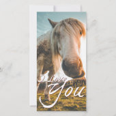 私は馬を見て愛している (正面)