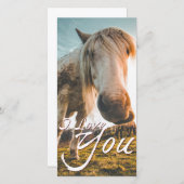 私は馬を見て愛している (正面/裏面)