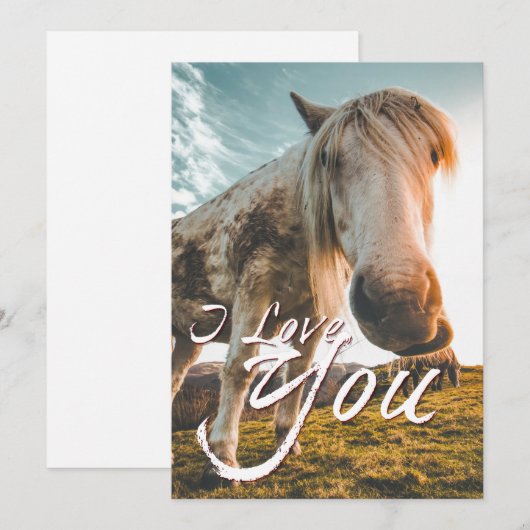 私は馬を見て愛している (正面/裏面)