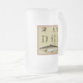 私は魚として乾燥しています フロストグラスビールジョッキ (正面右)