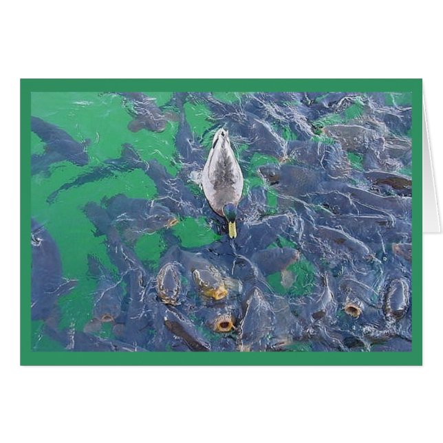 私は魚…です (正面横)