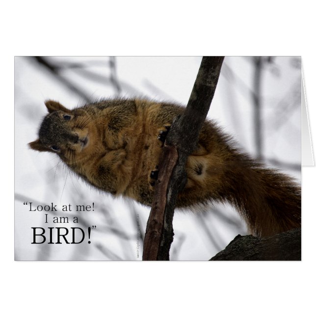 私は鳥です! (正面横)