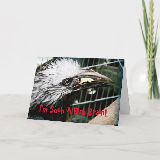 私は鳥の脳のベレおもしろいット誕生日カード カード (正面)