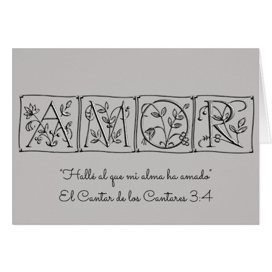 私は1つを私の精神Loves~Scripture~Spanish見つけました (正面横)