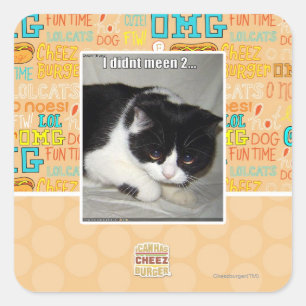 私は2と言わなかった スクエアシール