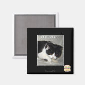 私は2と言わなかった マグネット (正面/裏面)