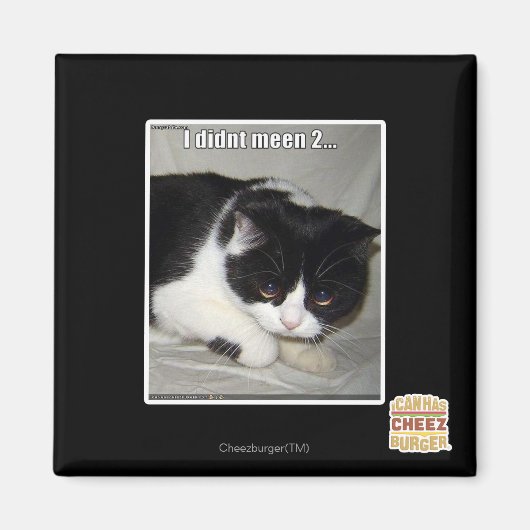 私は2と言わなかった マグネット (正面)