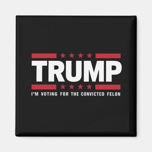 私は2024年有罪判決を受けたフェロン・プロトランプの投票をしている マグネット (正面)
