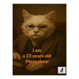 私は23歳のペルマベリーだ。市場最古 ポスター