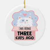 私は3年前は普通の猫だった セラミックオーナメント (裏面)
