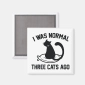 私は3年前は普通の猫だった マグネット (正面/裏面)