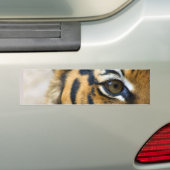 私は80年代のバンパーステッカーを生き延びました バンパーステッカー (車上)