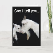 私は**い**う**い** カード (正面)