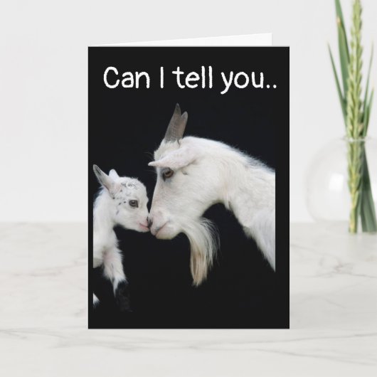 私は**い**う**い** カード (正面)