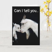 私は**い**う**い** カード (黄色い花)