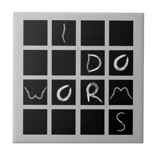 私は タイル (正面)