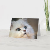 私は-子ネコ愛します シーズンカード (裏面)