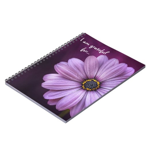 私は-感謝ジャーナルのために感謝しています ノートブック (左側)