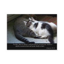 私は(猫)ビジネスかテレホンカードを提供します