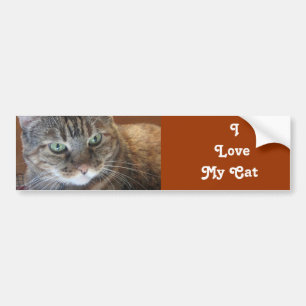 私は   私の   猫を愛します バンパーステッカー