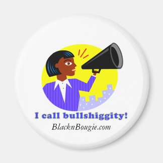 私はBSマグネットと呼ぶ マグネット