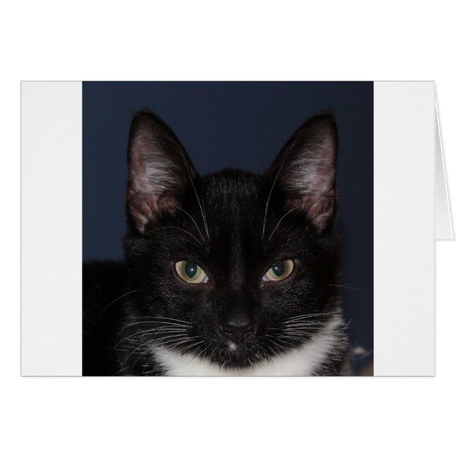 私はCATZをLOVE (正面横)