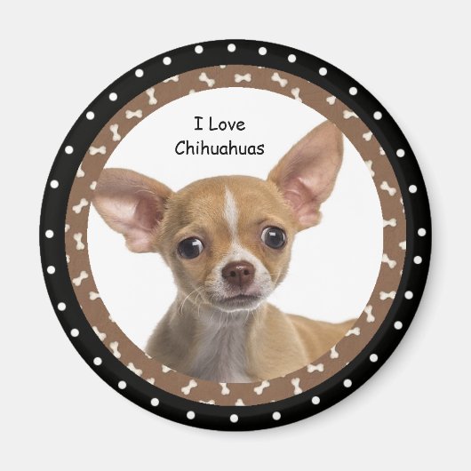 私はChihuahuas 2磁石が大好き マグネット (正面)