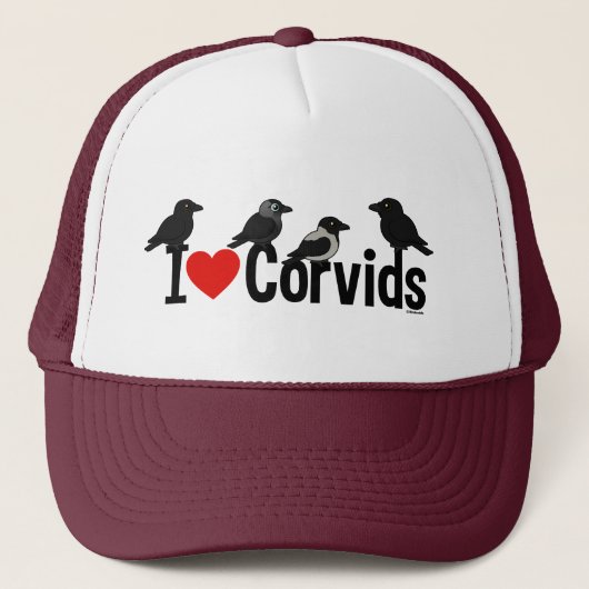 私はCorvidsを愛します キャップ (正面)