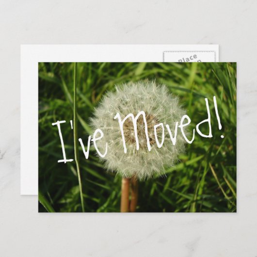 私はDandelionの写真とハガキを移動した 案内ポストカード (正面/裏面)