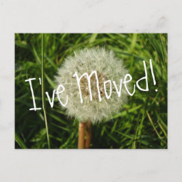 私はDandelionの写真とハガキを移動した 案内ポストカード