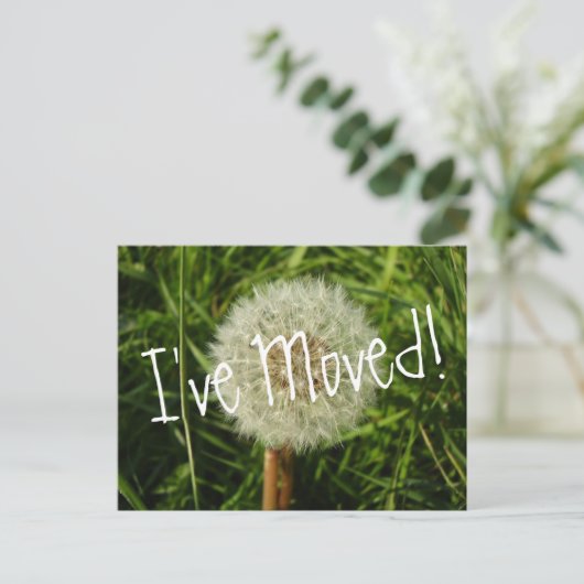 私はDandelionの写真とハガキを移動した 案内ポストカード (スタンド正面)