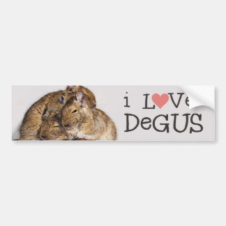 私はDegus - Deguの山を愛します バンパーステッカー