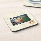 私はdisの新しいシャンプーをlove コースター (左側)