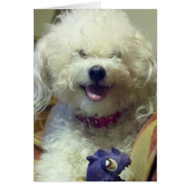 私はFAVのおもちゃよりも私が大好き (正面)