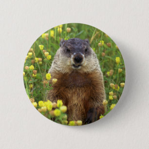 私はGroundhogボタンです 缶バッジ