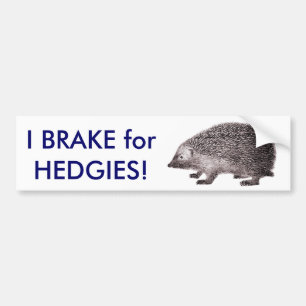 私はHEDGIESのためにブレーキがかかります! ハリネズミのバンパーステッカ バンパーステッカー
