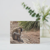 私はItchを持っている – スパイダーモンキー ポストカード (スタンド正面)