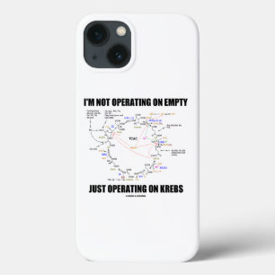 私はKrebsだけで動作している空の上で動作していない iPhone 13ケース