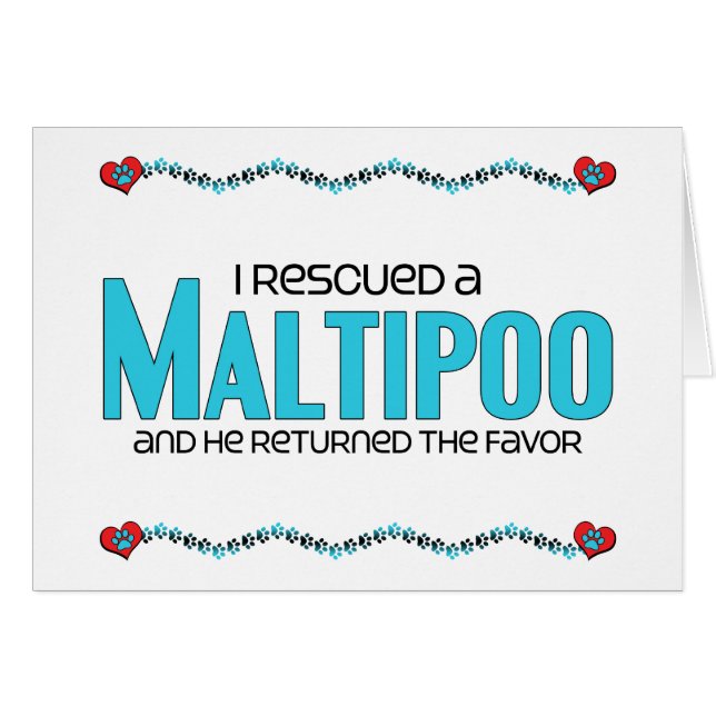 私はMaltipoo (男性)犬の採用のデザインを救助しました (正面横)