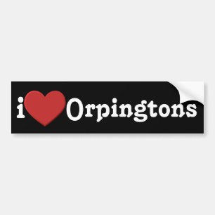 私はOrpingtonsのバンパーステッカーを愛します バンパーステッカー