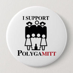 私はPolygamitt.pngを支えます 缶バッジ