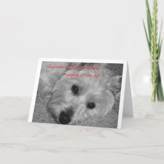 私はSanta sのリストを作ったら疑問に思いますか。 シーズンカード