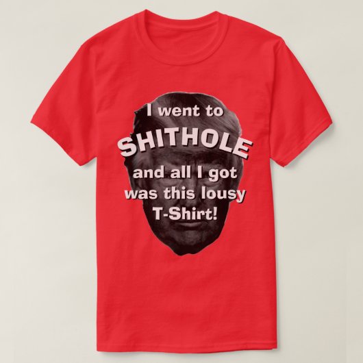 私はShitholeに…行きました Tシャツ (デザイン正面)