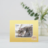 私はuを持っている ポストカード (スタンド正面)