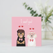 私はWoof Youバレンタイン犬のロットワイラーマルティポパピー (スタンド正面)