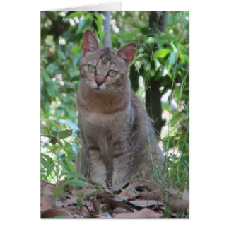 私へtalkinですか。 - TBDシリーズ