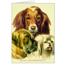 「私ほど愛し合う人間はいない」