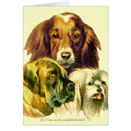 「私ほど愛し合う人間はいない」