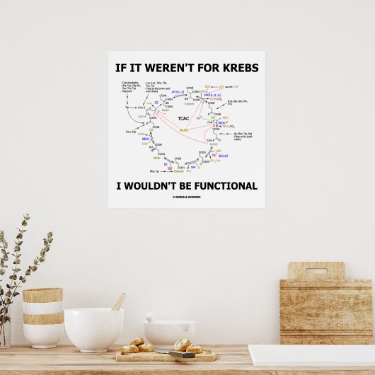 私もしは機能しないだろうクレブスのためではなかった ポスター (キッチン)