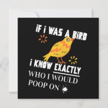 私もしは鳥だった